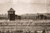 Auschwitz Birkenau von Norbert Fenske