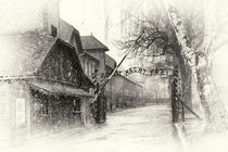 Auschwitz 1 von Norbert Fenske