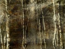 AUTUMN by philippe berthier