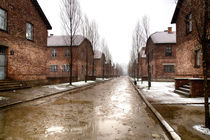 Auschwitz 1 von Norbert Fenske