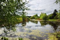 The old pond in the spring von Yuri Hope