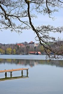 Idylle am Pilsensee... 3 von loewenherz-artwork