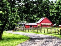 Red Barn by Susan Savad