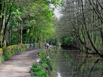 Cromford Canal, Tree Lined Walk von Rod Johnson
