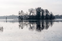 Winter am Seddinsee von Rainer F. Steußloff
