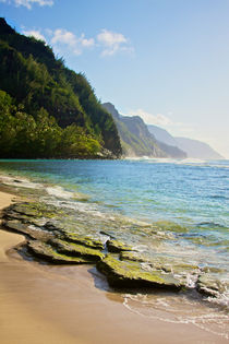 Kauai Coast von heather hemstreet