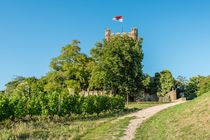 Burg Klopp 82 von Erhard Hess