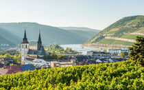 Bingen - von Burg Klopp 87 von Erhard Hess