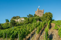 Burg Klopp 97 von Erhard Hess