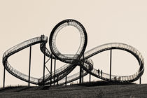Tiger and Turtle in Duisburg (7-10533) B+W by Franz Walter Photoart