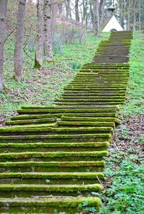 der Weg zum Ziel... von loewenherz-artwork