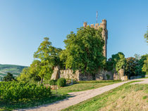 Burg Klopp in Bingen 88 by Erhard Hess