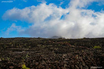 Clouds by ronny