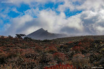 Vulvanic Island Lanzarote by ronny