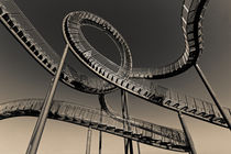 Tiger and Turtle in Duisburg (7-10373) B+W von Franz Walter Photoart