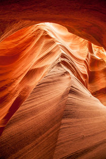 Rattlesnake Canyon by Martin Williams