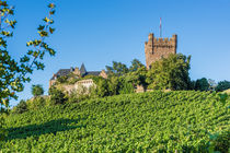 Burg Klopp 84 von Erhard Hess