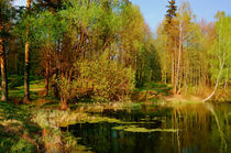 The pond in the spring by Yuri Hope