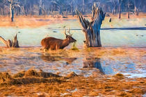 Deer in the swamp von Pravine Chester