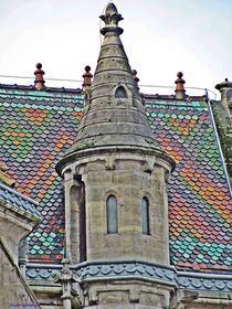 Meiningen St. Mary's Church  von Sandra  Vollmann