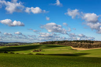 Views of Wiltshire. by David Hare