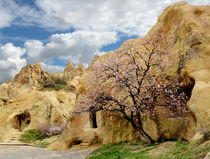 The residential mansion of the Ancient Cappadocia. Central Turkey von Yuri Hope