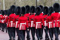 Grenadier Guards by David Pyatt
