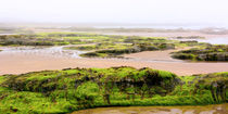 Ein nebliger Morgen am Firth of Forth von gscheffbuch