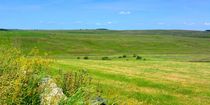 Weites Land von gscheffbuch