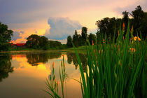Summer evening the pond von Yuri Hope
