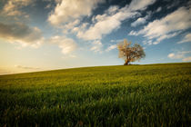 Wolkenstimmung über Feld von Christian Möhrle