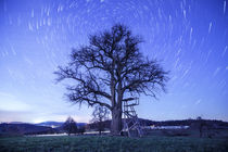 Startrails von Christian Möhrle