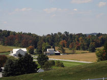 Amish Living by Gena Weiser