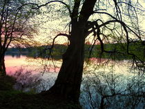 Am See von Renée König