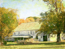 Barn Still Standing von Gena Weiser