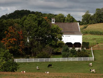 Amish Farm in the Fall with Textures by Gena Weiser