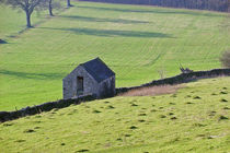 Hillside Barn by Rod Johnson