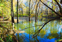 Spring flood von Yuri Hope