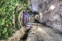 A Garden in the Basement (Girona Cathedral, Catalonia) von Marc Garrido Clotet