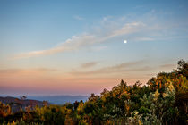 Moon at dawn by Joao Henrique Couto e Silva