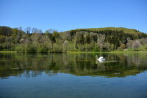 Schwanensee von gugigei