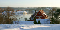 Wintersonne von Lutz Baar