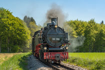 99788 "Berta"| Öchsle-Bahn von Thomas Keller