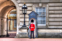 Buckingham Palace Queens Guard by David Pyatt