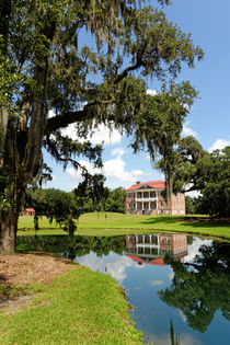 Drayton Hall von Borg Enders