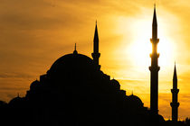 Istanbul Moschee by Borg Enders