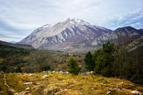 Mountains in the background X von Salvatore Russolillo