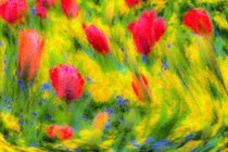 English Summer Flowers Pastel von David Pyatt