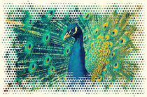 Pfau Art von AD DESIGN Photo + PhotoArt