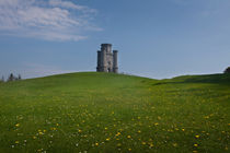 Paxton's Tower View by Leighton Collins